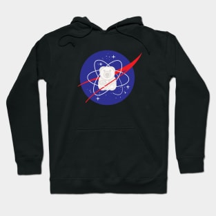 Nasa Space Bliss Bears Hoodie